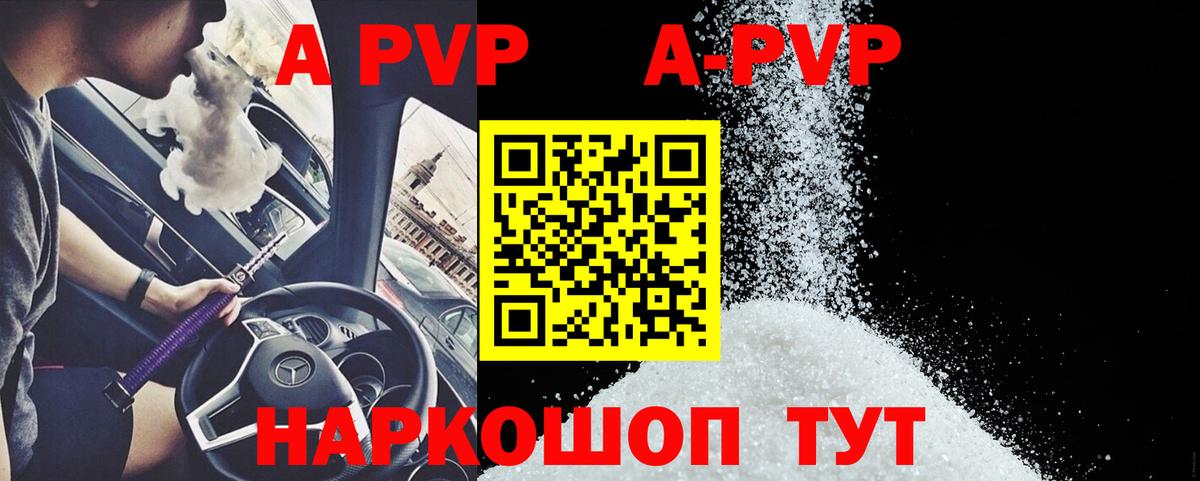 Alfa_PVP СК КРИС Балтийск