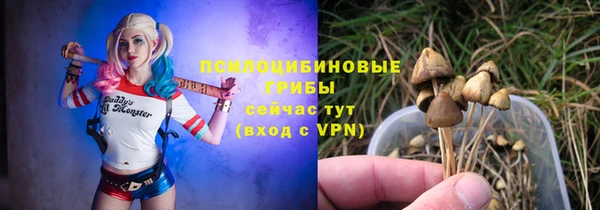 меф Арсеньев