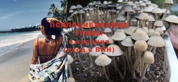 амфетамин Аркадак