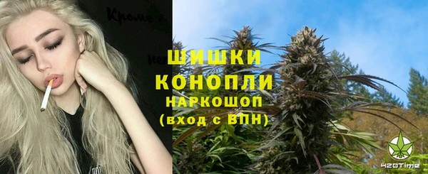 меф Арсеньев