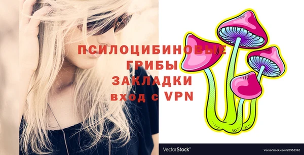 меф Арсеньев