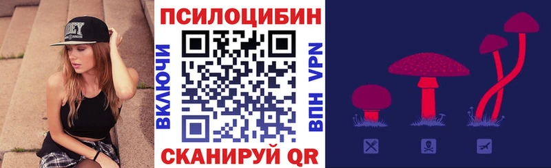 площадка Telegram  Балтийск  Галлюциногенные грибы Cubensis  купить  цена 
