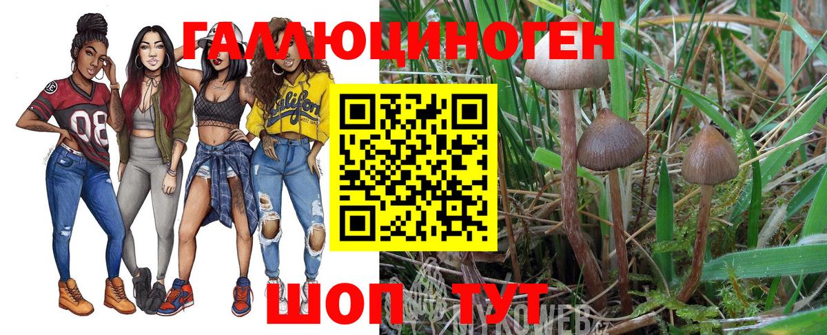 Балтийск  Псилоцибиновые грибы ЛСД  Вход с VPN 