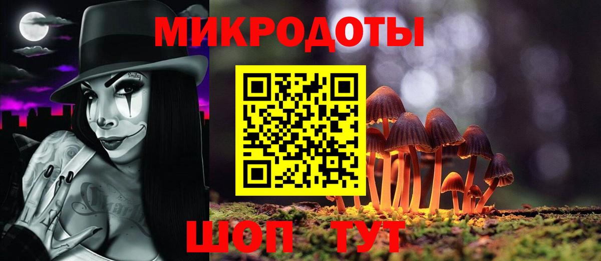 Псилоцибиновые грибы MAGIC MUSHROOMS Балтийск