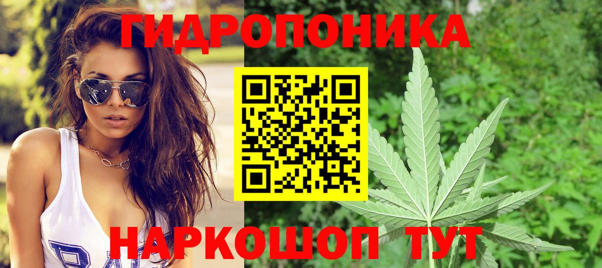 МАРИХУАНА ГИДРОПОН  Вход с VPN  Каннабис сатива  Балтийск 